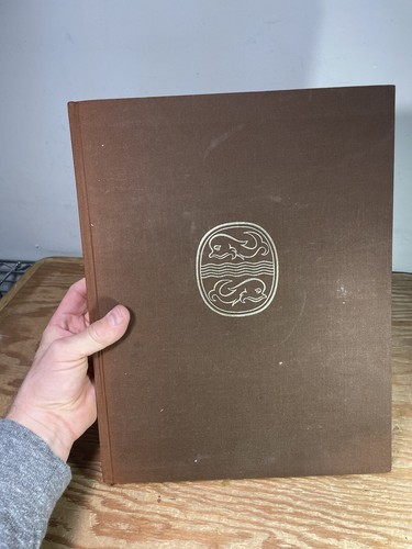 An Irish Florilegium Hardcover Wendy Walsh - 第 1/21 張圖片