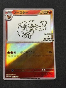 Yu Nagaba Flareon | eBay