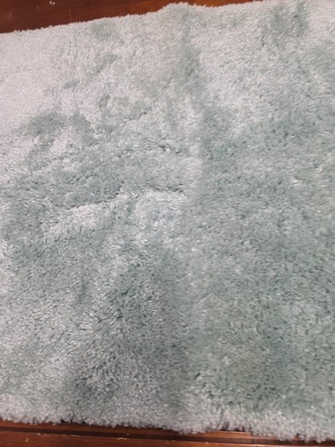Bathroom Rug