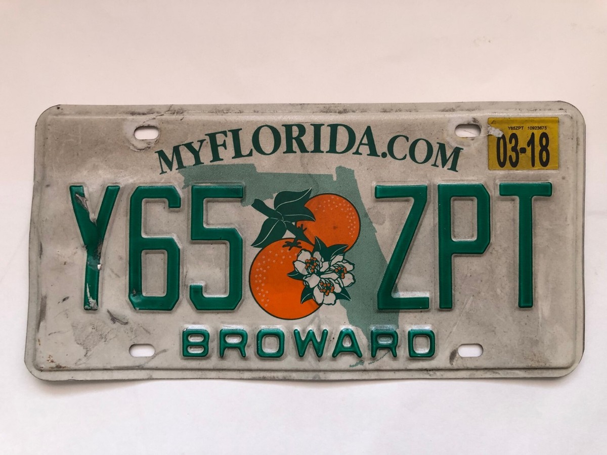 One FLORIDA LICENSE PLATE SUNSHINE STATE/ORANGE RANDOM LETTERS 
