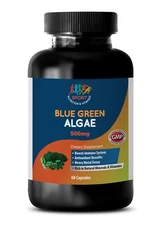 blood sugar support - Organic BLUE GREEN ALGAE 500mg - energy supplements -1 Bot