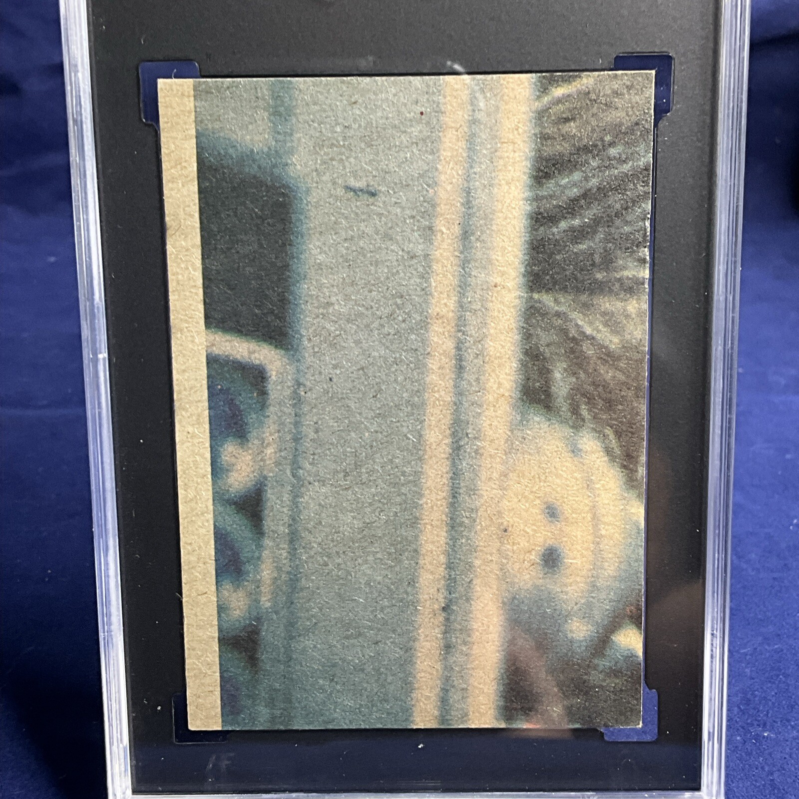 Picture 5 of 6