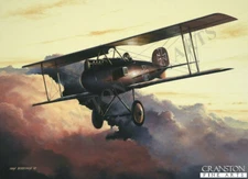 WW1  Albatross D.1 Aviation Art Post Card German ACE Hauptmann Oswald Boelcke