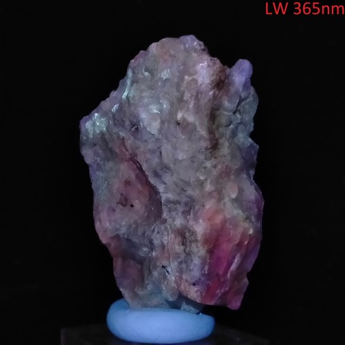 Fluorescent Uranyl Sodalite Calcite Albite w/ Biotite Mica & Nepheline 0.22kg - Bild 5 von 12