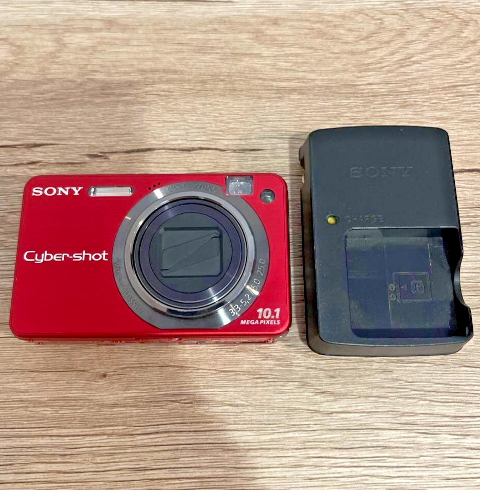 Sony Cyber-shot DSC-W170 10.1MP Digital Camera - Silver (DSC