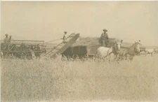 Postcard RPPC C-1910 Farm Agriculture horse drawn harvester 23-12724