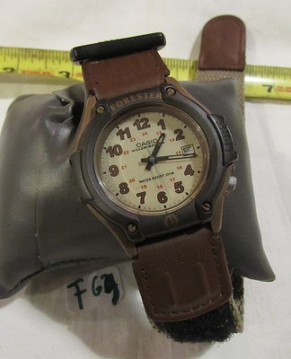 casio forester illuminator