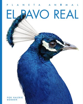 El Pavo Real von Kate Riggs (Englisch) Taschenbuch