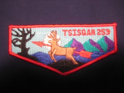 Tsisqan 253 253 s27 OA flap OAE