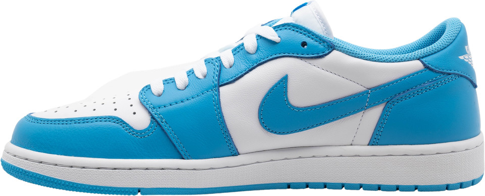 Eric Koston x Air Jordan 1 SB Low Powder Blue | eBay