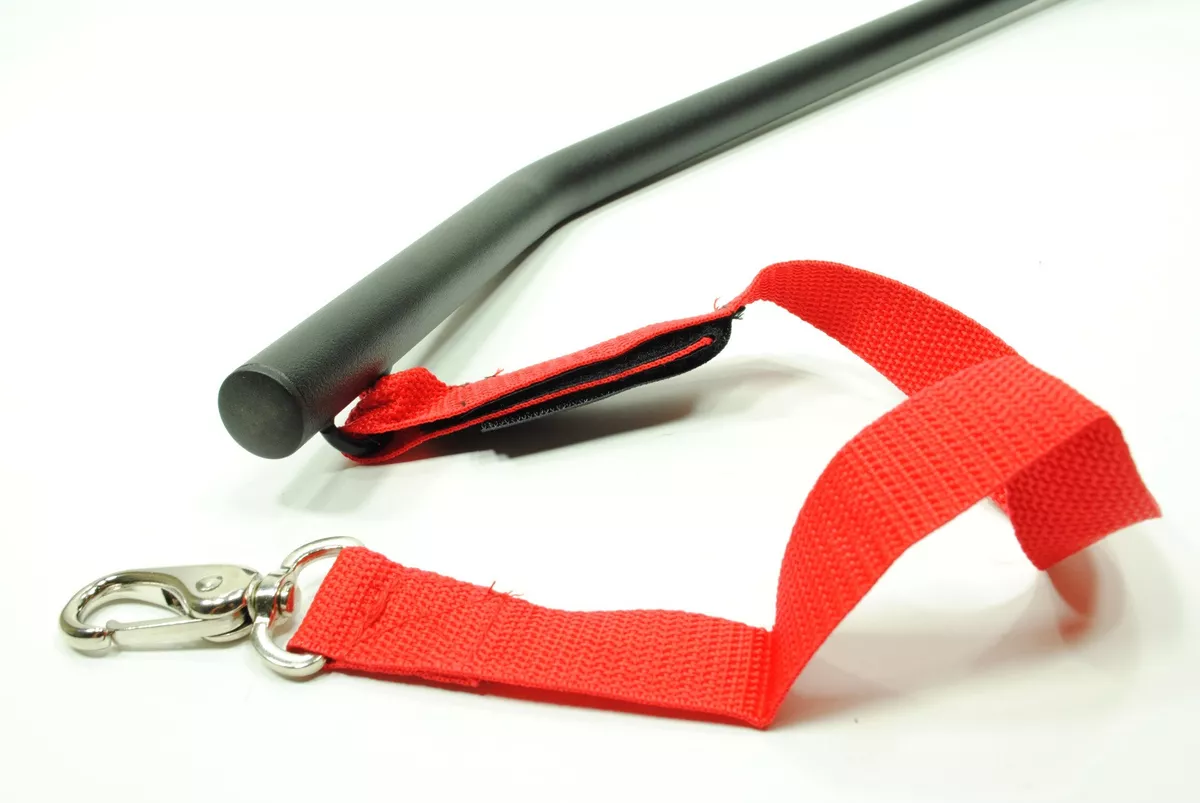 Bike Bicycle Dog Leash Attachment Pole eBay