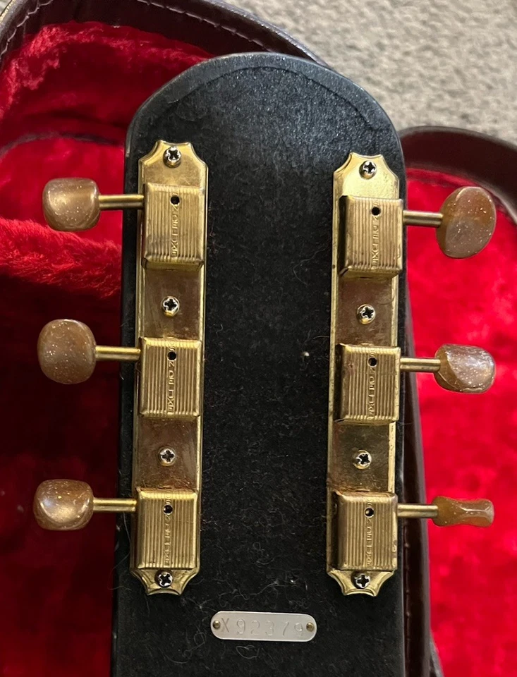 GUITARRA VINTAGE SILVERTONE ARTIST 6 cuerdas LAP STEEL imitación madreperla Foto 4 de 4