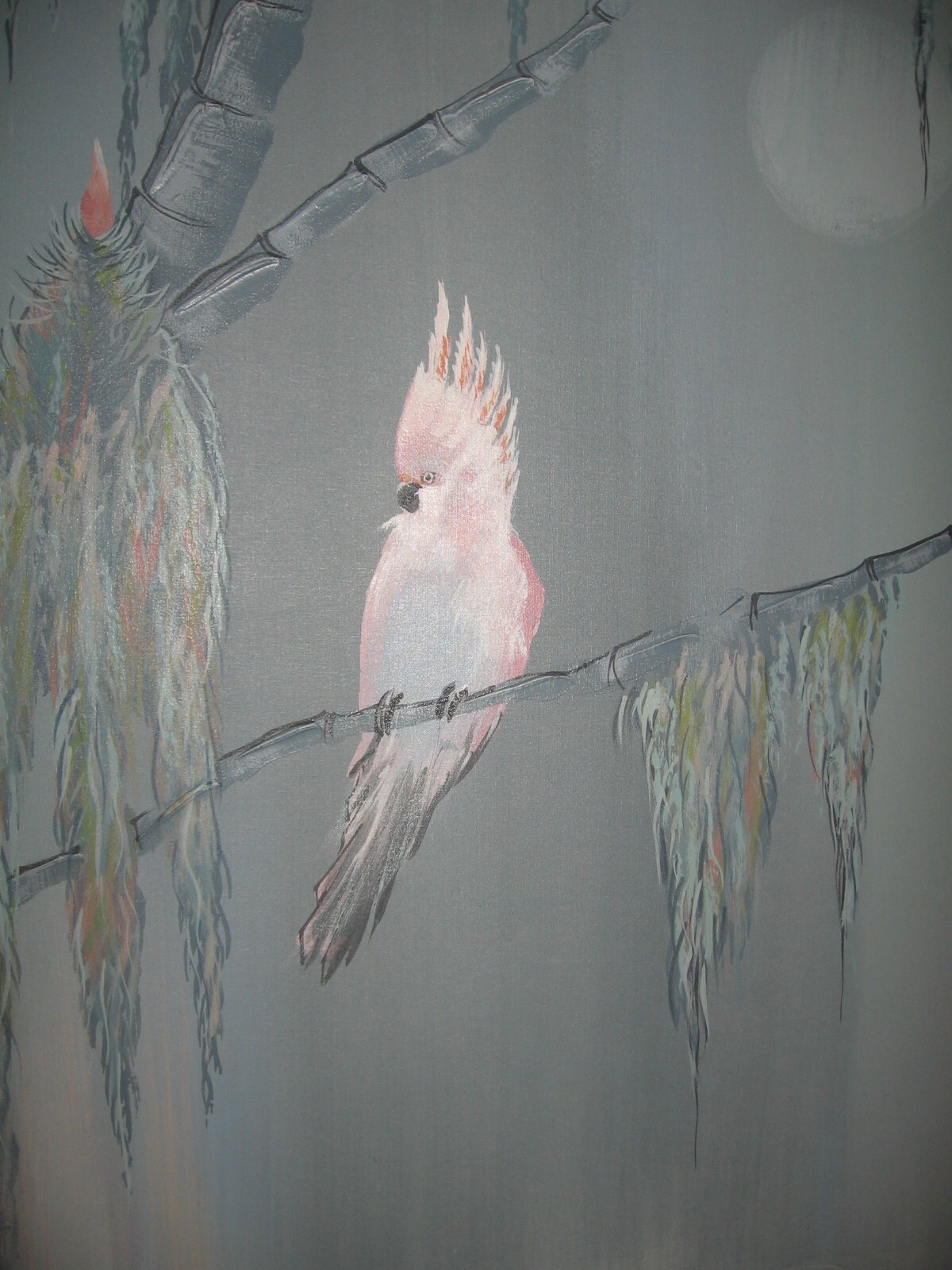 Picture 5 of 6