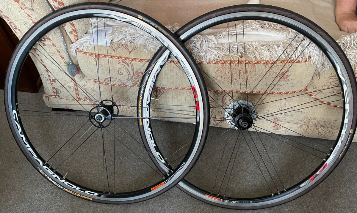 Campagnolo Vento G3 622x15c 10 speed sprocket New Gator Hardshell