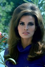 Raquel Welch 80s 90s Celebrity Cinema Actor Wall Art Home Decor - POSTER 20x30
