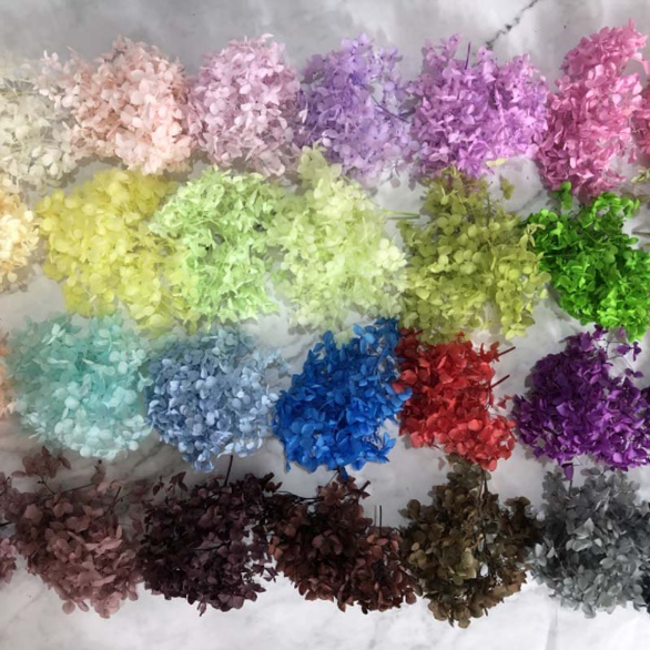 Ourdort DIY Trockenblumen Set - Natürliche Blumen Zum Basteln In Gelb, Violett, Blau