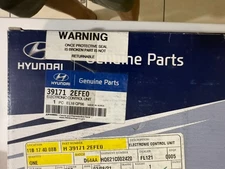 2017-2019 Hyundai Elantra  Engine Control Module Unit  39117-2EFE0  NEW OEM