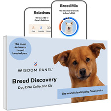 Wisdom Panel Breed Discovery Dog DNA Testing Kit - Most Accurate Dog Breed Ident