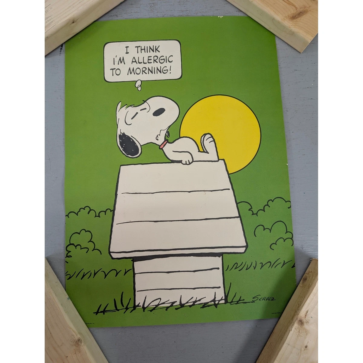 25+ Vintage Snoopy Poster In other Collectible Peanuts Items for
