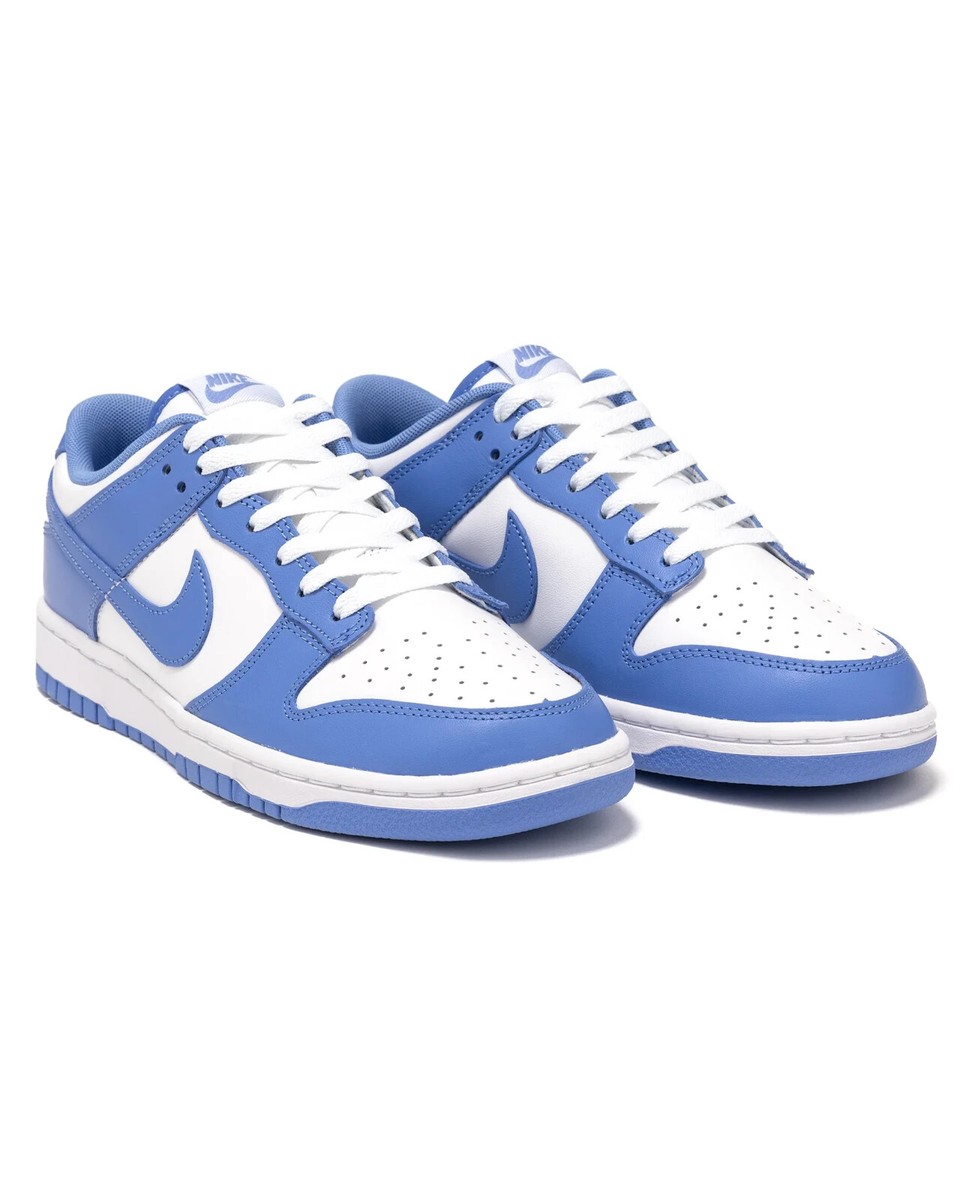 Nike Dunk Low Retro Polar Blue White (Sizes 8-13) DV0833-400