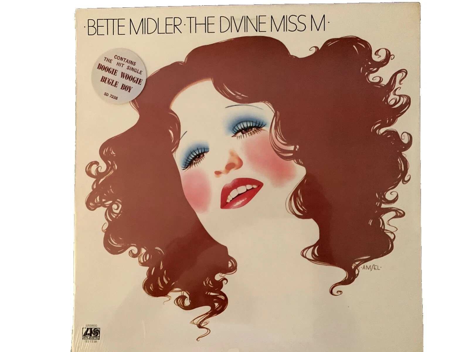 Rock Mint (M) Sleeve Pop Vinyl Records