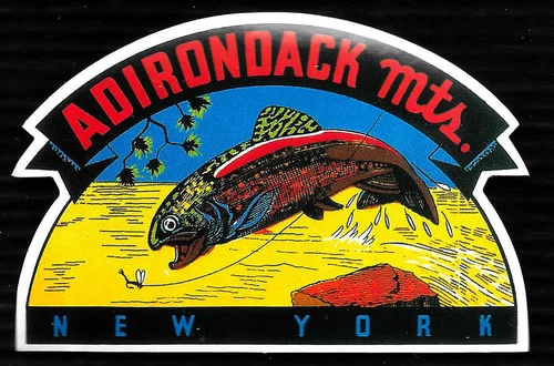 1950s VINTAGE CAR WINDOW TRAVEL STICKER ADIRONDACK MOUNTAINS NEW YORK FISHING NY