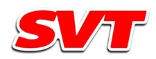 Svt Logo Decal 3 Ford Mustang Lightning Cobra Focus Raptor Free Us Shipping