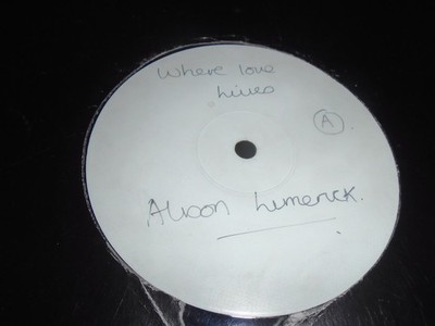Alison Limerick    Where Love Lives        1990  OLD SKOOL CLASSIC!!