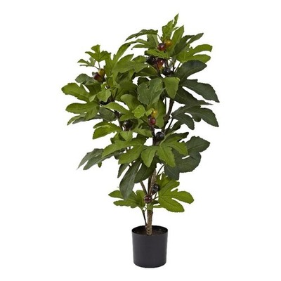 Pemberly Row 32'' Fig Tree with 44 Leaves and 15 Figs in Green/Black