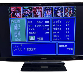 ARCUS 1, 2, 3 for Mega CD and ARCUS I, II, III for Mega Drive  So