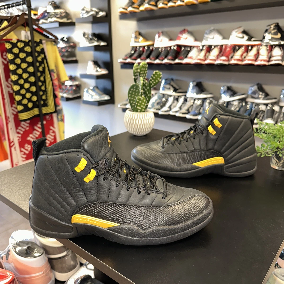 Air Jordan 12 Black Taxi CT8013-071 Release Date