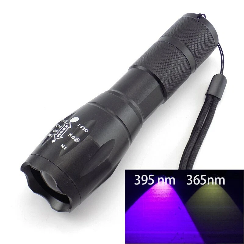 Fluorescent 2024 torch light