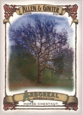 2021 Topps Allen and Ginter Arboreal Appreciation #AA6 Horse Chestnut - BB