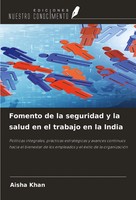 Aisha Khan | Fomento De La Seguridad Y La Salud En El Trabajo En La India | Buch