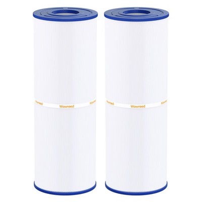 Spa Filter Compatible with Cryspool CP-04075, PRB50-IN, J210/J275   2 Pack