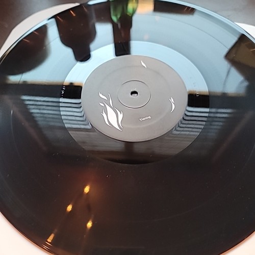 Mono You Are There Double LP Vinyl USA Temporary Residence Limited 2 LP 2006 - Picture 6 of 8