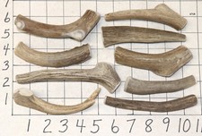 9 1 Deer Antler Dog Chew Treats