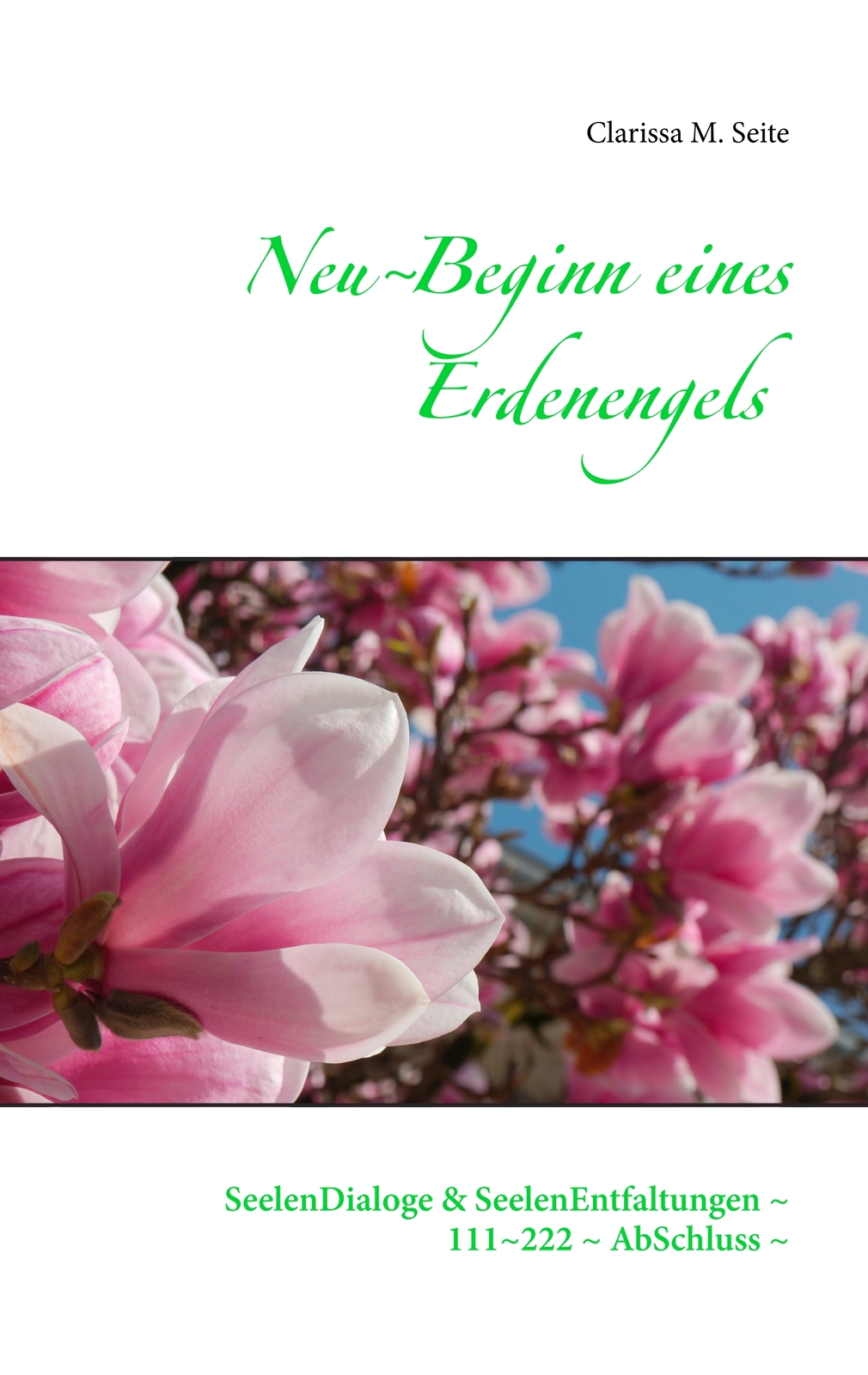 Thumbnail - Neubeginn Eines Erdenengels (buch)