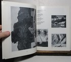 Picture 4 of 6
