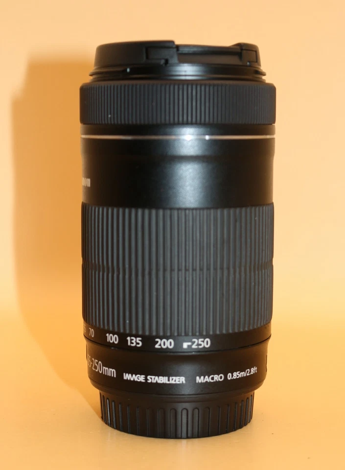 Canon EF-S 55-250mm f/4-5.6 IS STM Telephoto Zoom Lens – Tested, Caps Included - Image 4 of 4