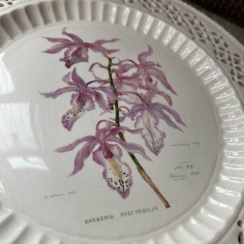 Leedsware Classic Creamware v&A Orchideen Edition durchbohrt dekorativ 9" Teller - Bild 5 von 7