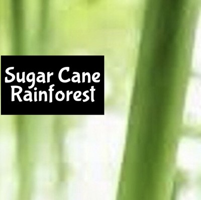 SUGAR CANE RAINFOREST Perfume Cologne Body Splash Lotion Scrub Butter Bath Oil