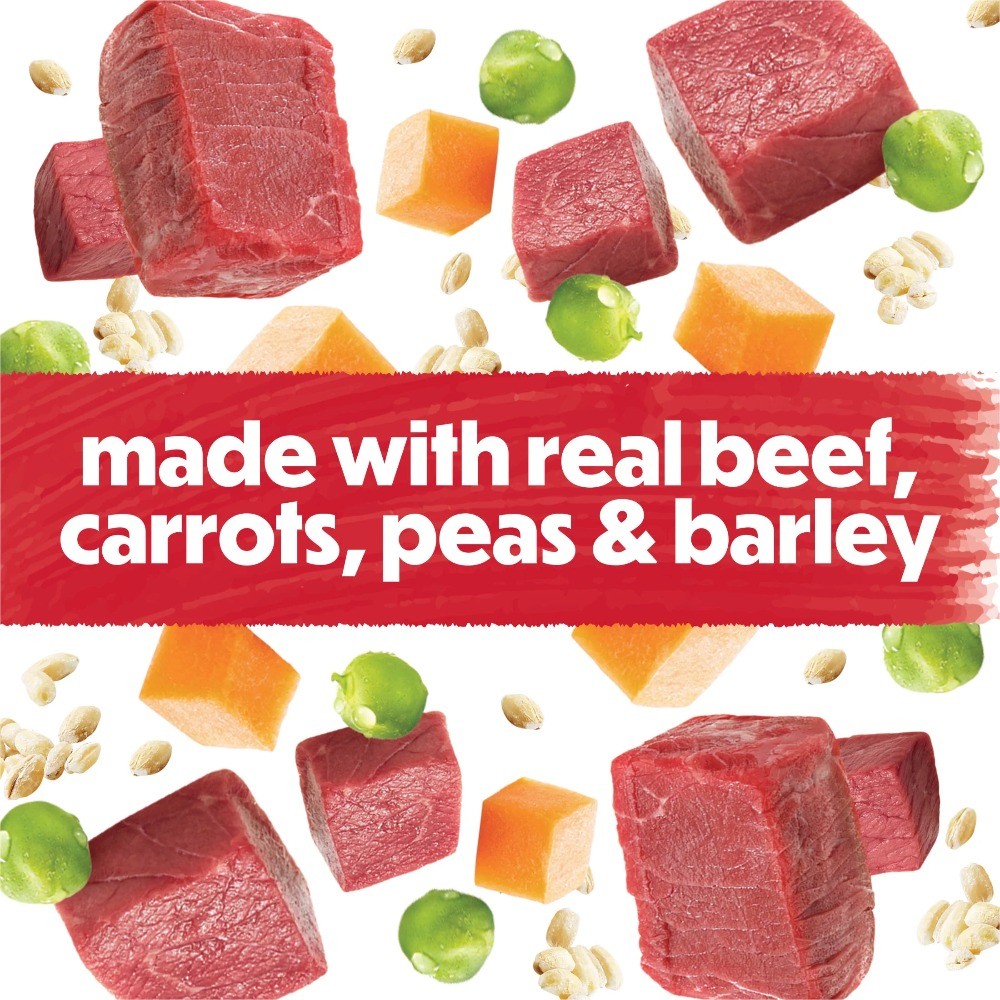 Freshly Prepared Wet Dog Food Blend with Beef Carrots Peas and Barley in 10 oz