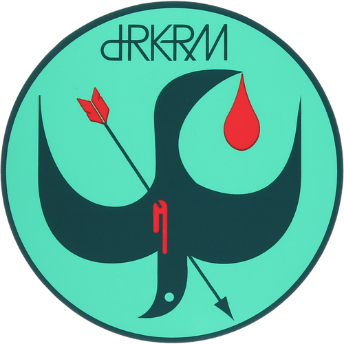 Darkroom Skateboards "Birdstrike" Sticker / Decal 3.5" FREE SHIPPING