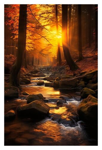 RIVER STREAM IN FOREST SUNSET WALL ART 4X6 PHOTO - Afbeelding 1 van 4