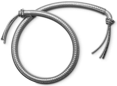 Carlon WCE6 6Ft 3/4'' Whip NO WIRES