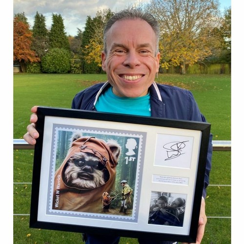Royal Mail - Star Wars Framed Ewok Print - Limited Signed by Warwick Davis #194 - Picture 5 of 5