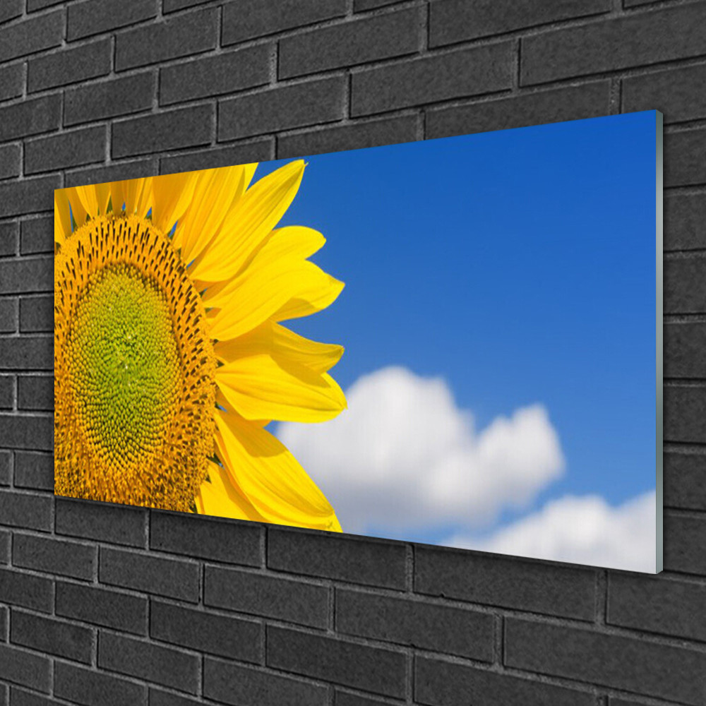 Tableau Tournesol Nuages 100x50 cm pour illuminer une pièce sombre avec du verre brillant