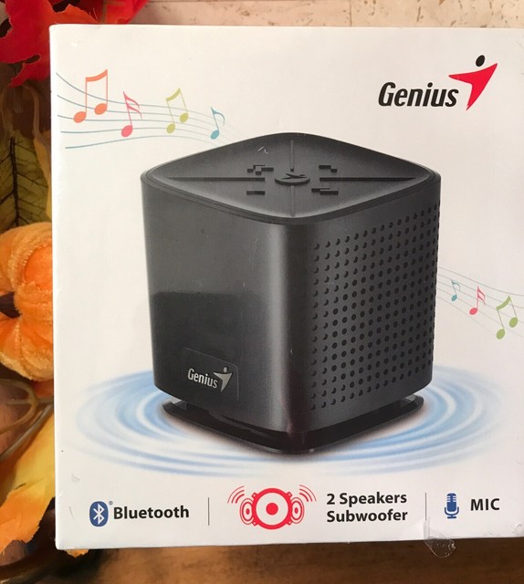 iphone bluetooth 2 speakers