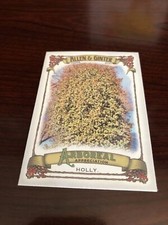 Holly 2021 Topps Allen Ginter Arboreal Appreciation #AA-13 *Mint* Qty